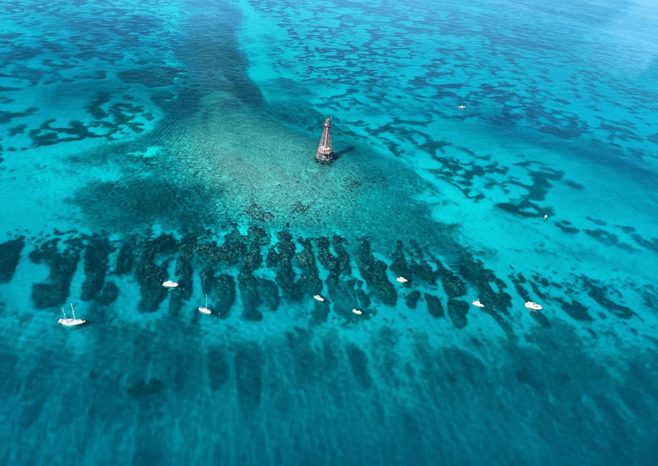 Alligator Reef Snorkel: 2.5-Hour Islamorada Adventure with Morada Mermaid photo 3