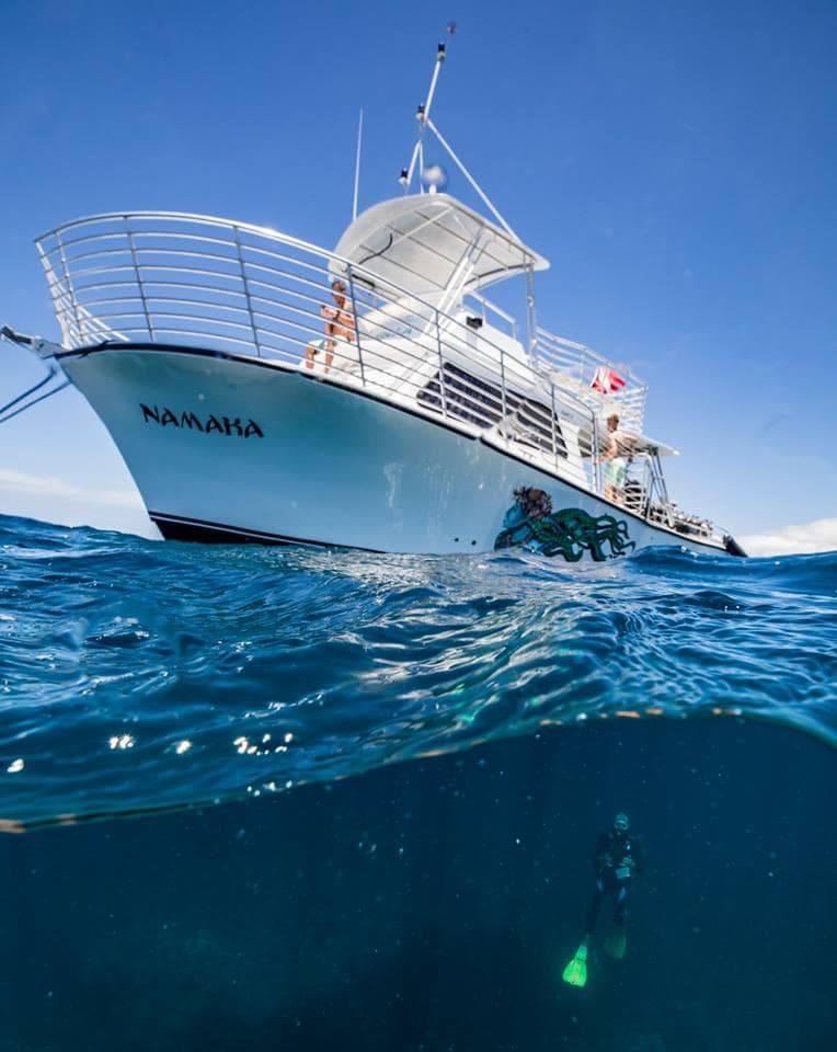 Kohala Divers team