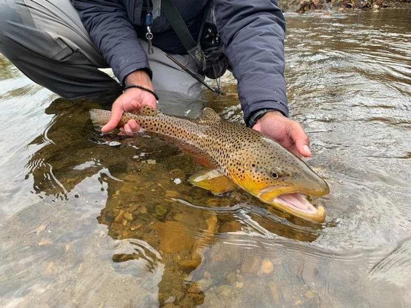 Water Activities & Guide Service at Antietam Creek