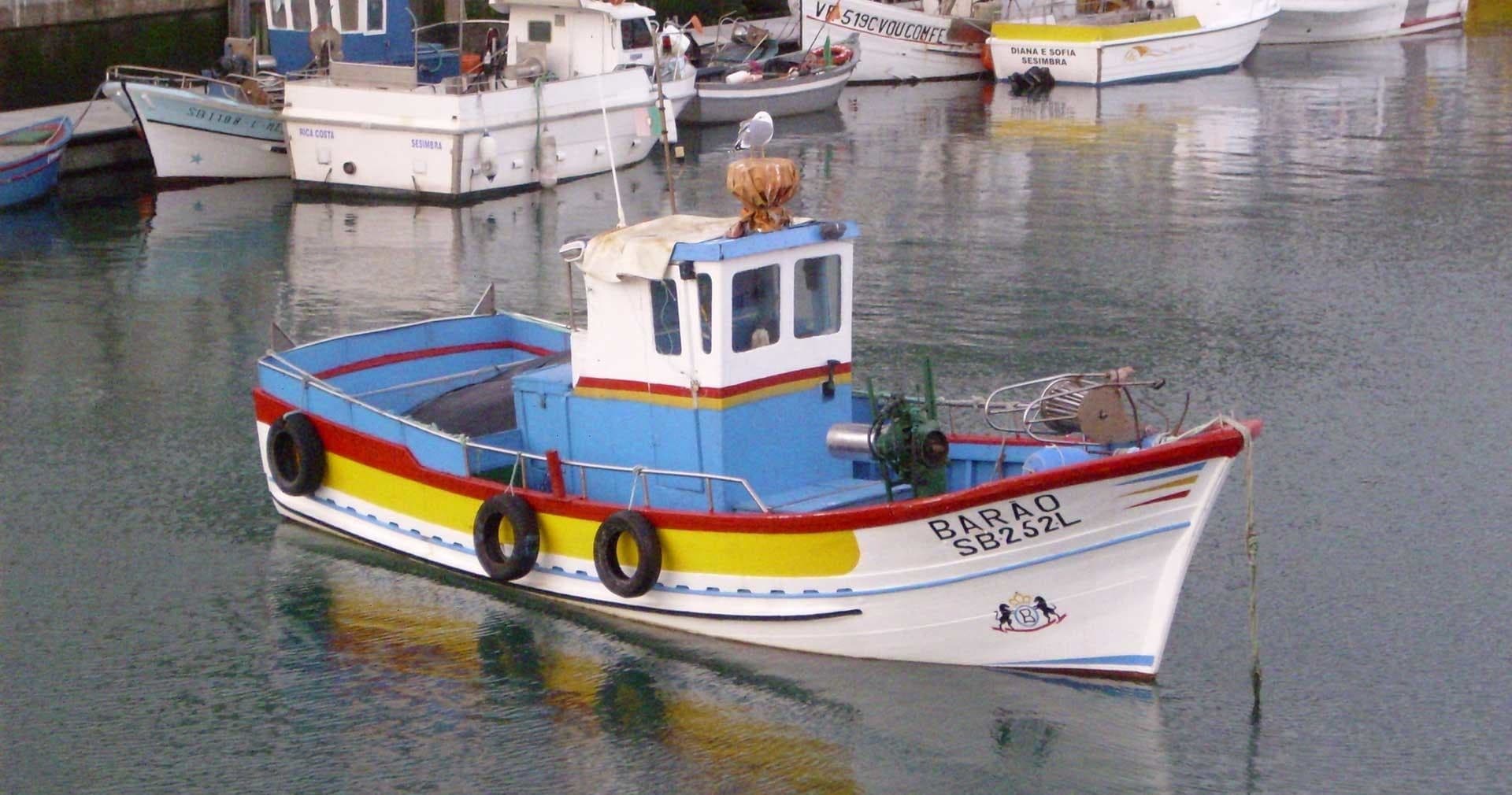 Scenic Road Tour from Lisbon to Algarve for Cultural Land Adventure