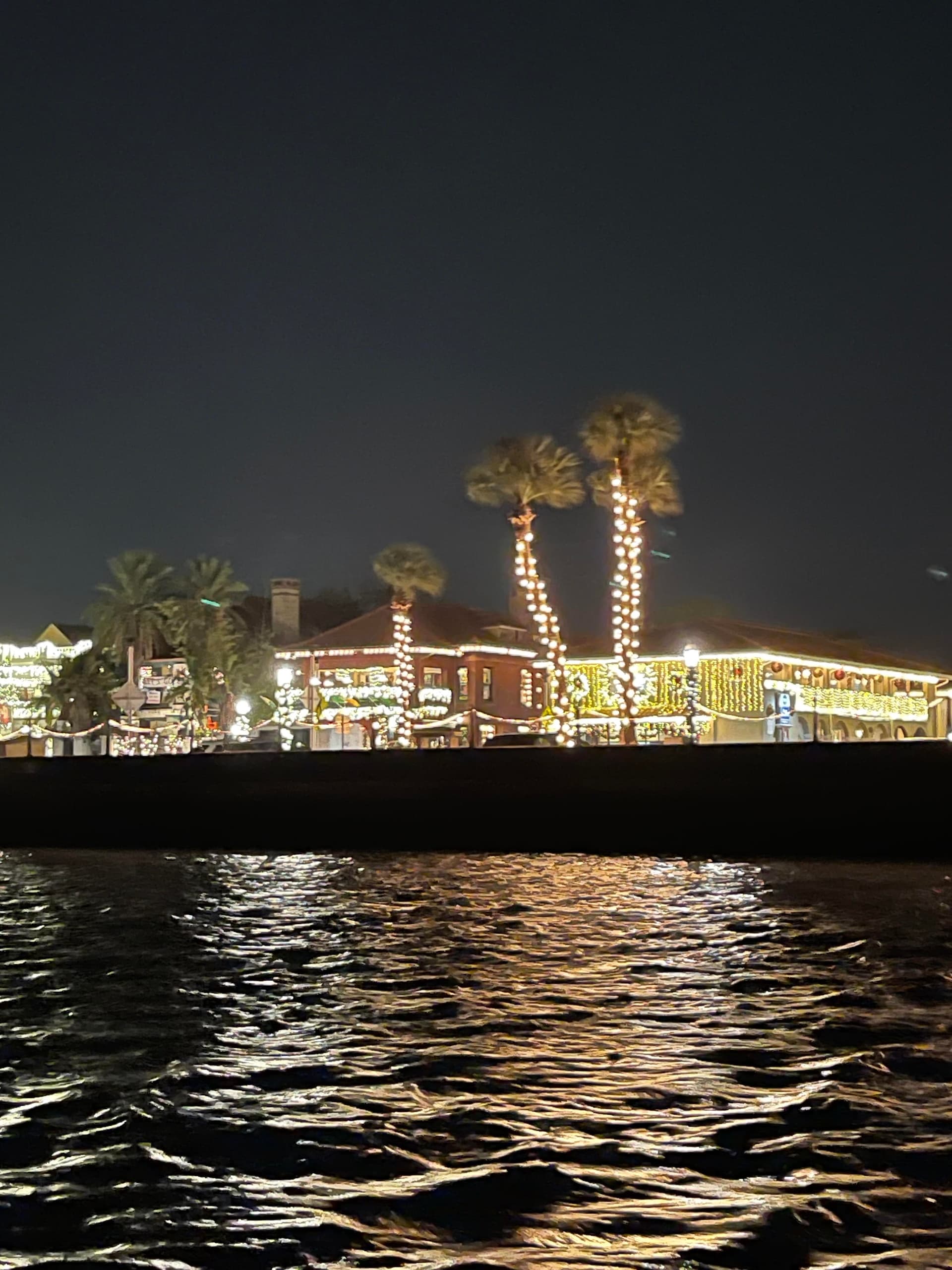 Romantic Nights of Lights with River Lion Excursions in St. Augustine