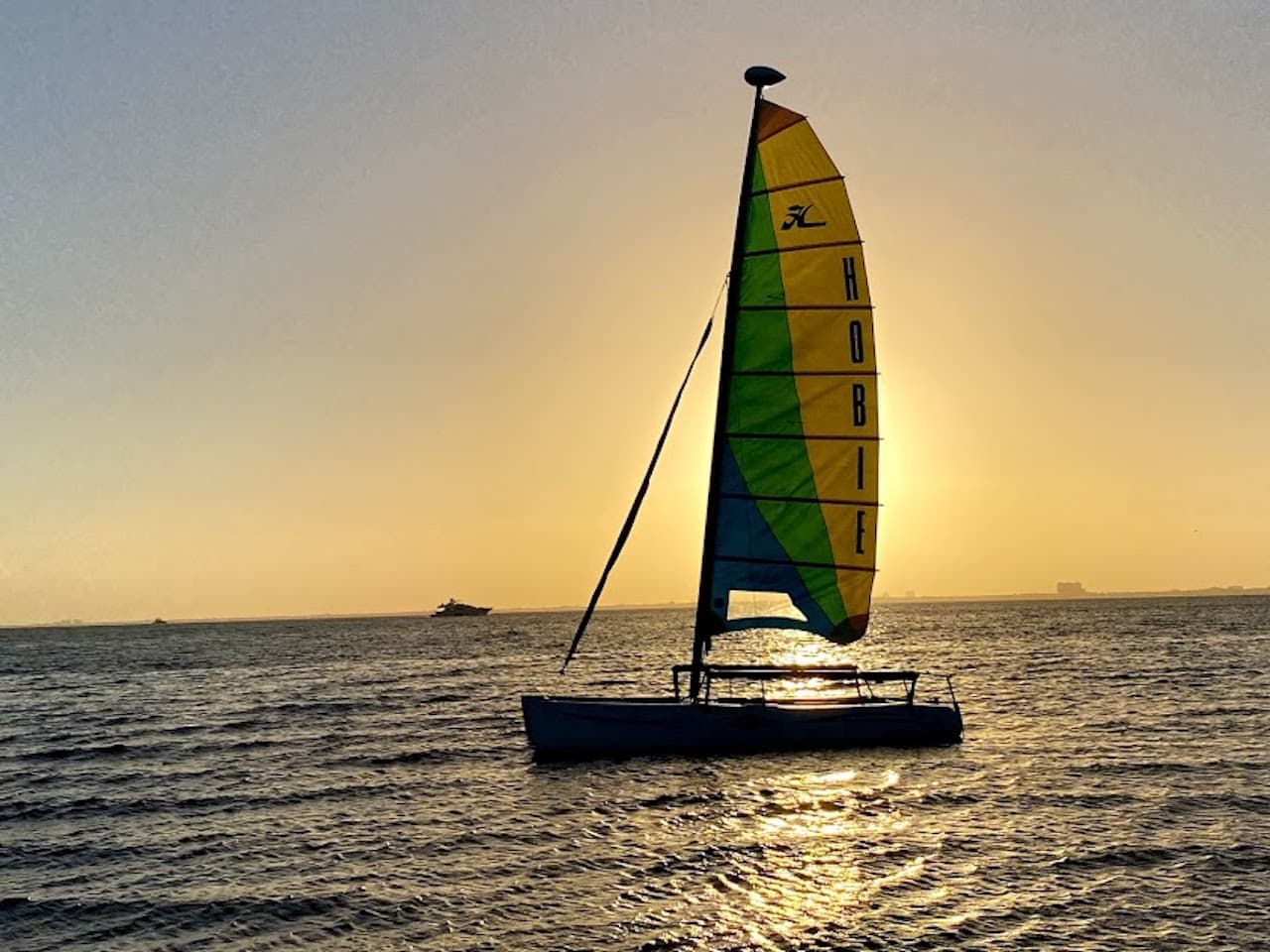 Adult Eco Tour with Sail Ahead Miami in Biscayne Bay