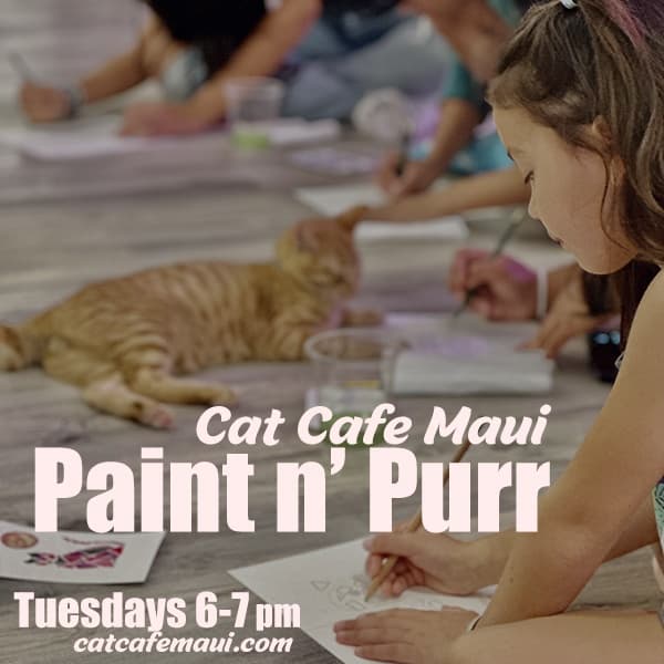 Creative Nights at Cat Cafe Maui with Paint n ‘ Purr