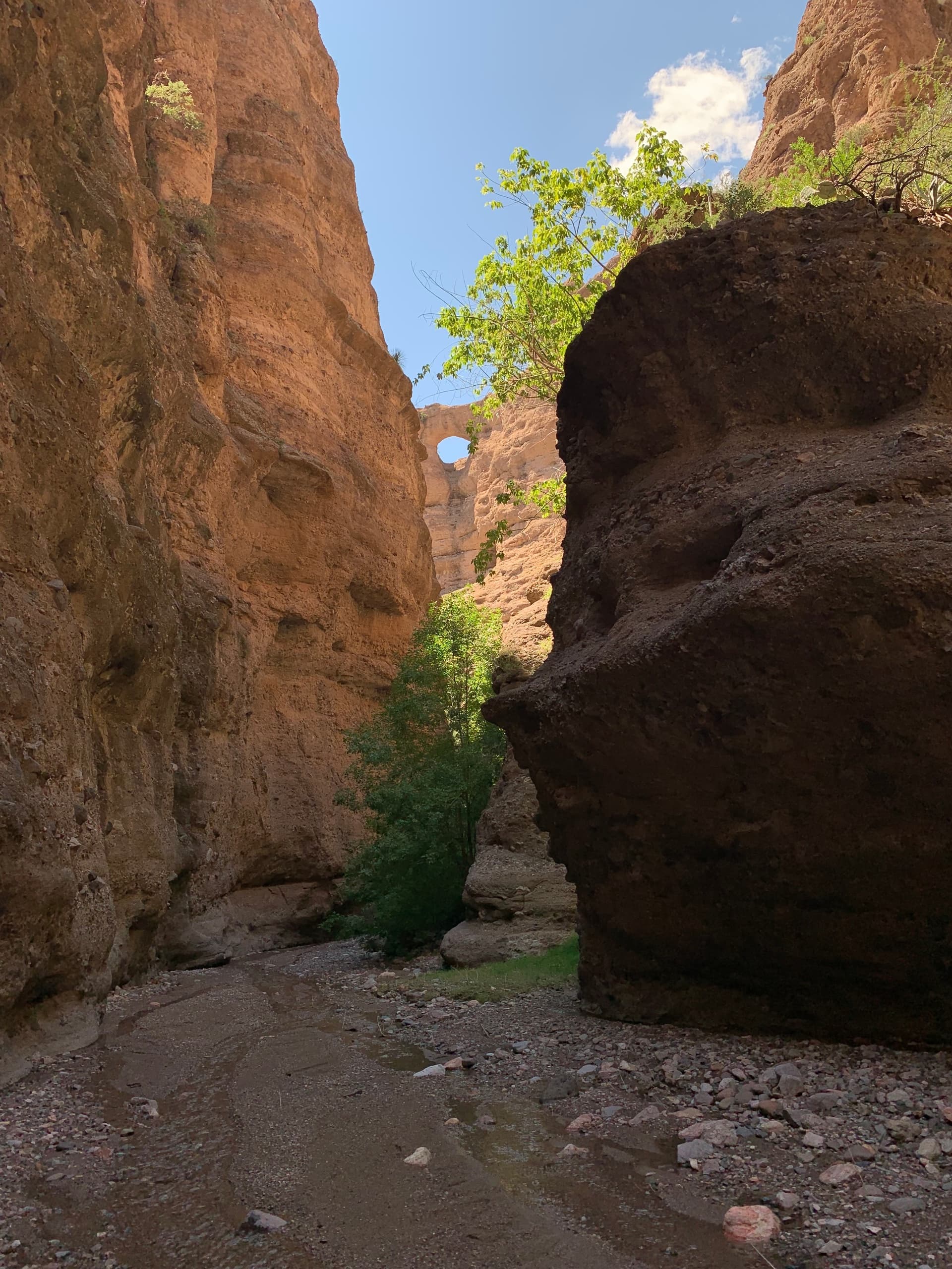 Explore Arizona’s Stunning Aravaipa Canyon Walking Tour