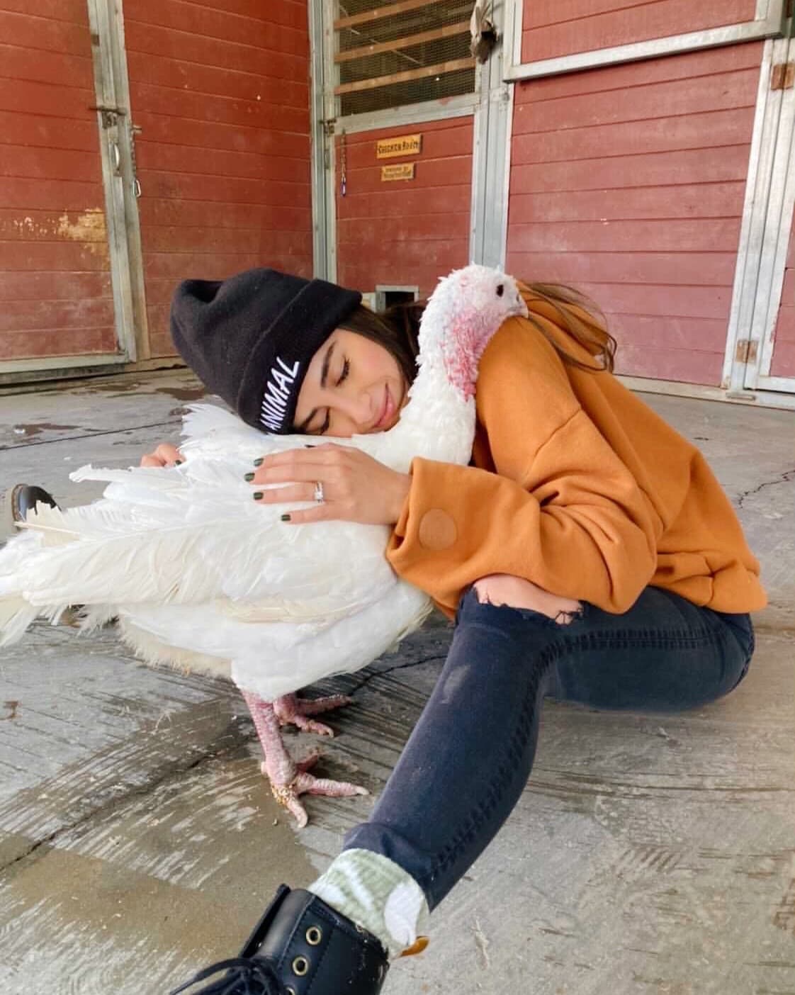 Barnyard Therapy Experience in Santa Clarita, CA