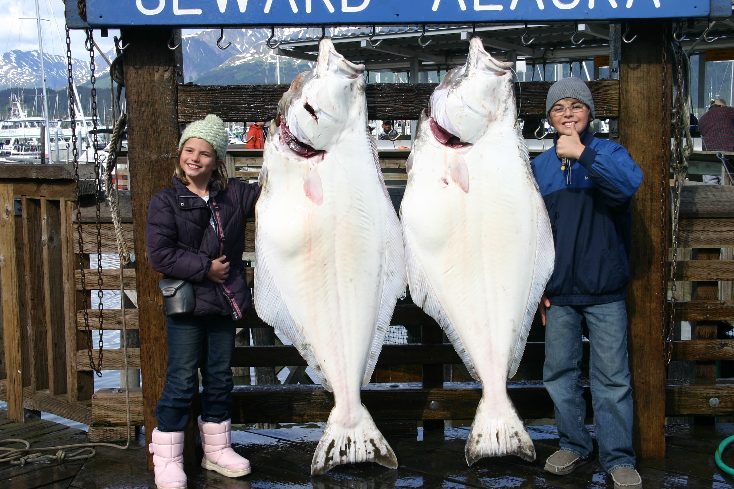 Halibut Fishing with ProFish-n-Sea Charters in Seward