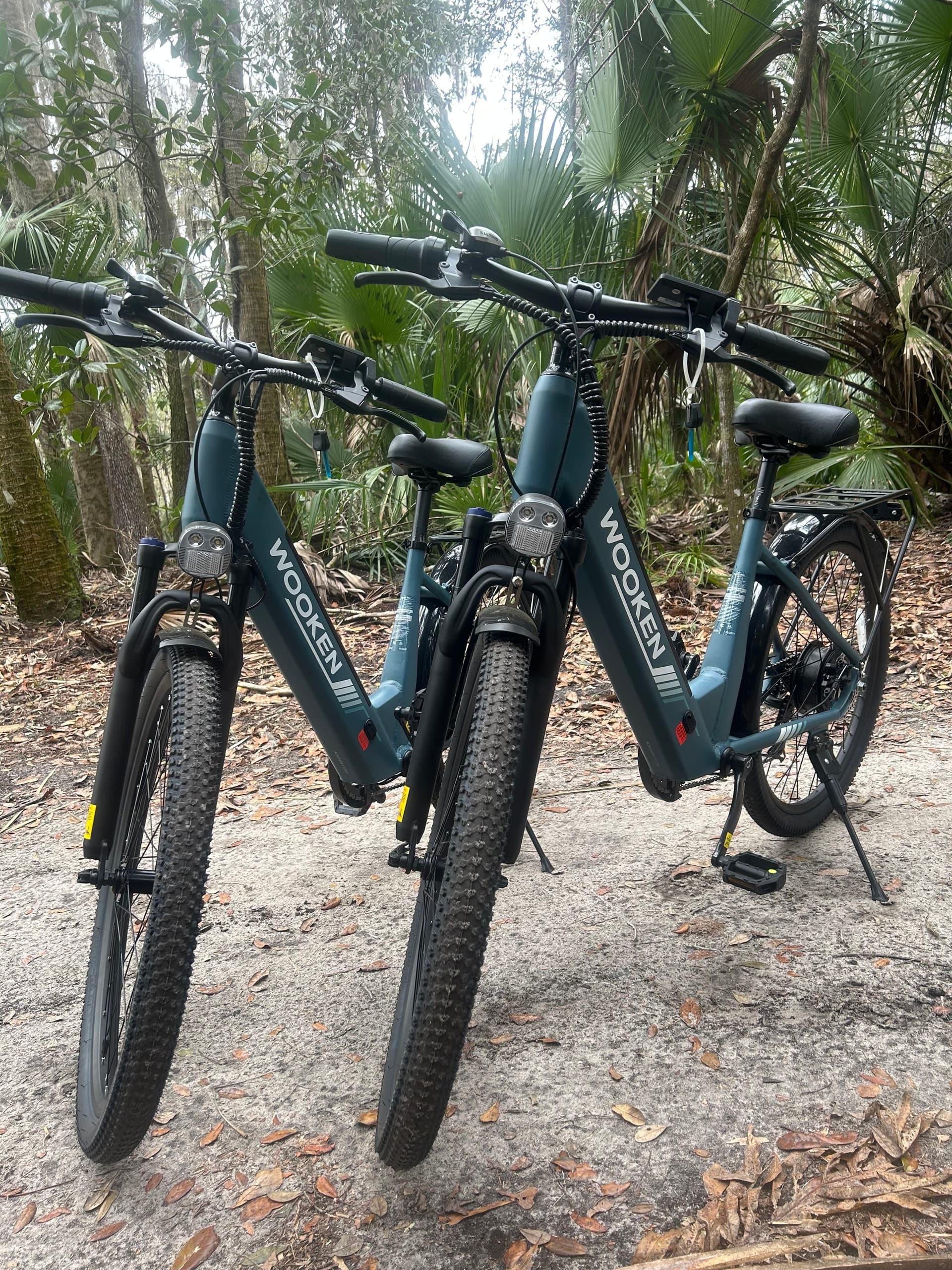 e-bike-rentals-blue-springs-state-park-manatees-live-oaks photo 3
