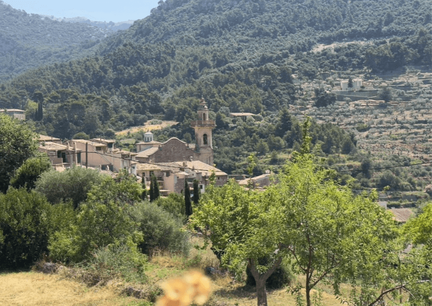 Winter Countryside Tours with Tasting Mallorca