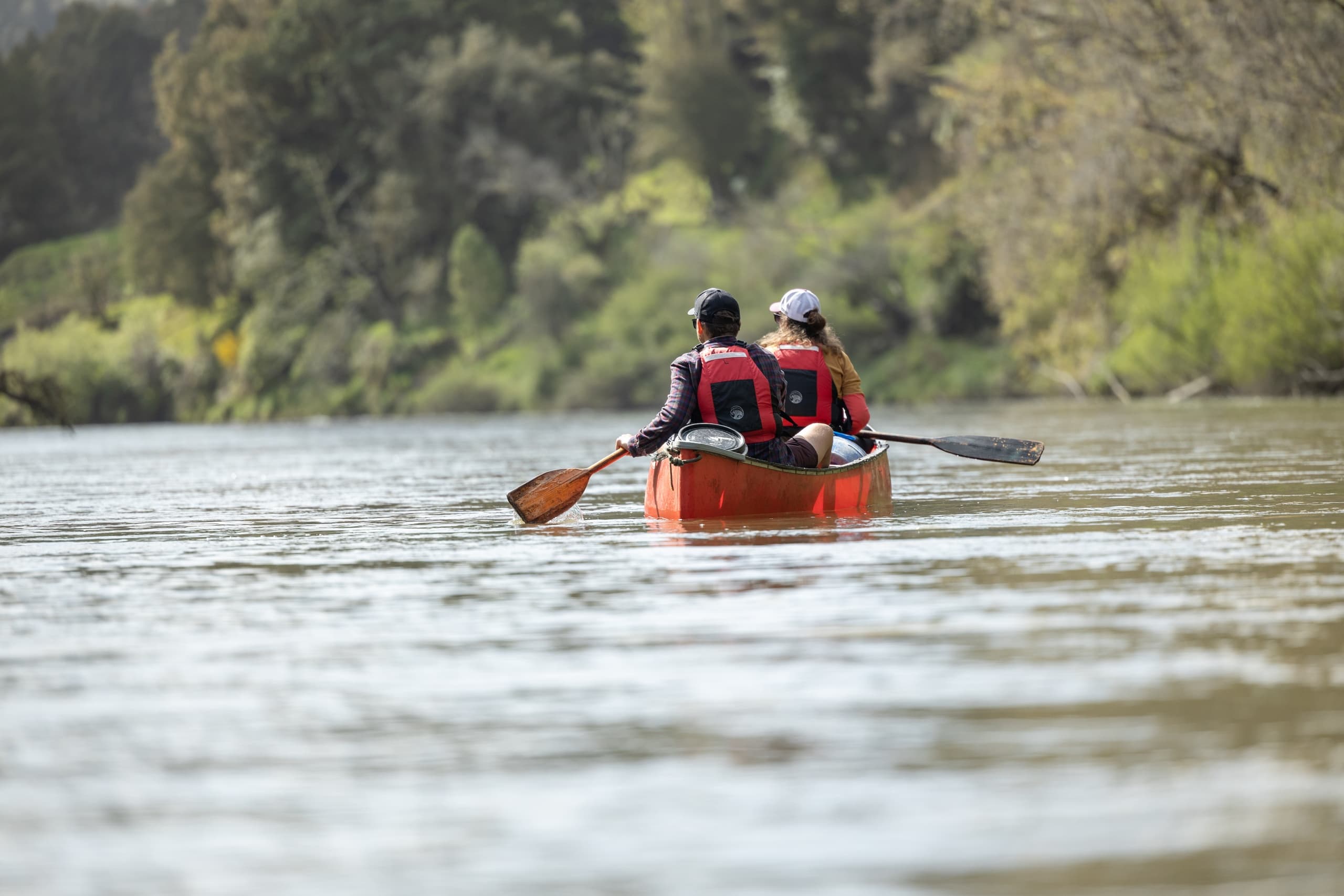Explore the Whanganui River: 2-Day Freedom Canoe Journey with Free Night Stay