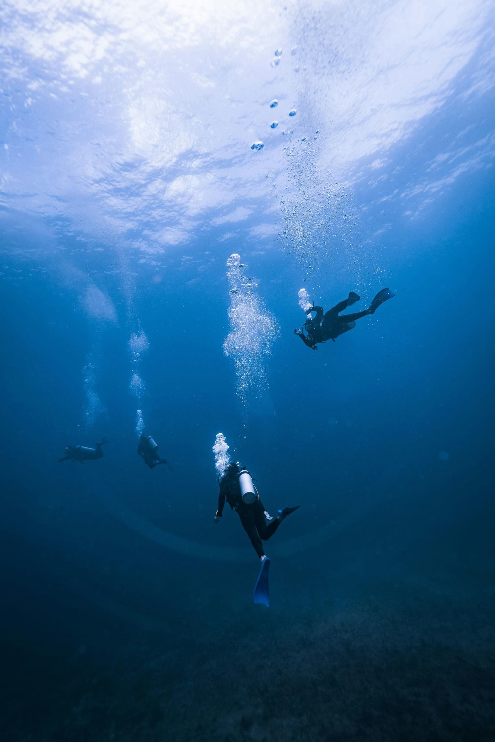 Mid-Shore Dive: Two-Tank Offshore Reefs and Kelp Forests