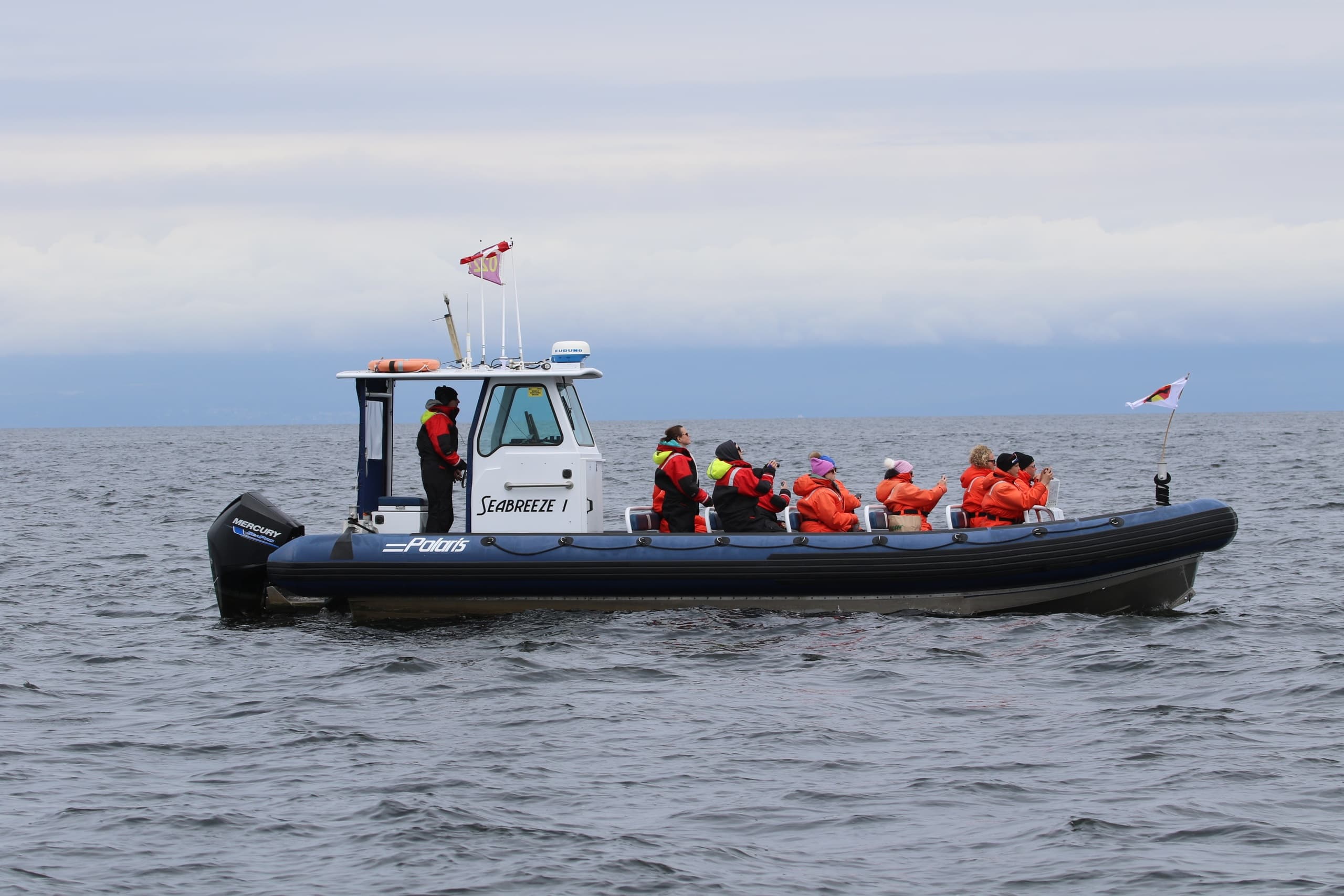 Seabreeze Adventures & Whale Watching fleet