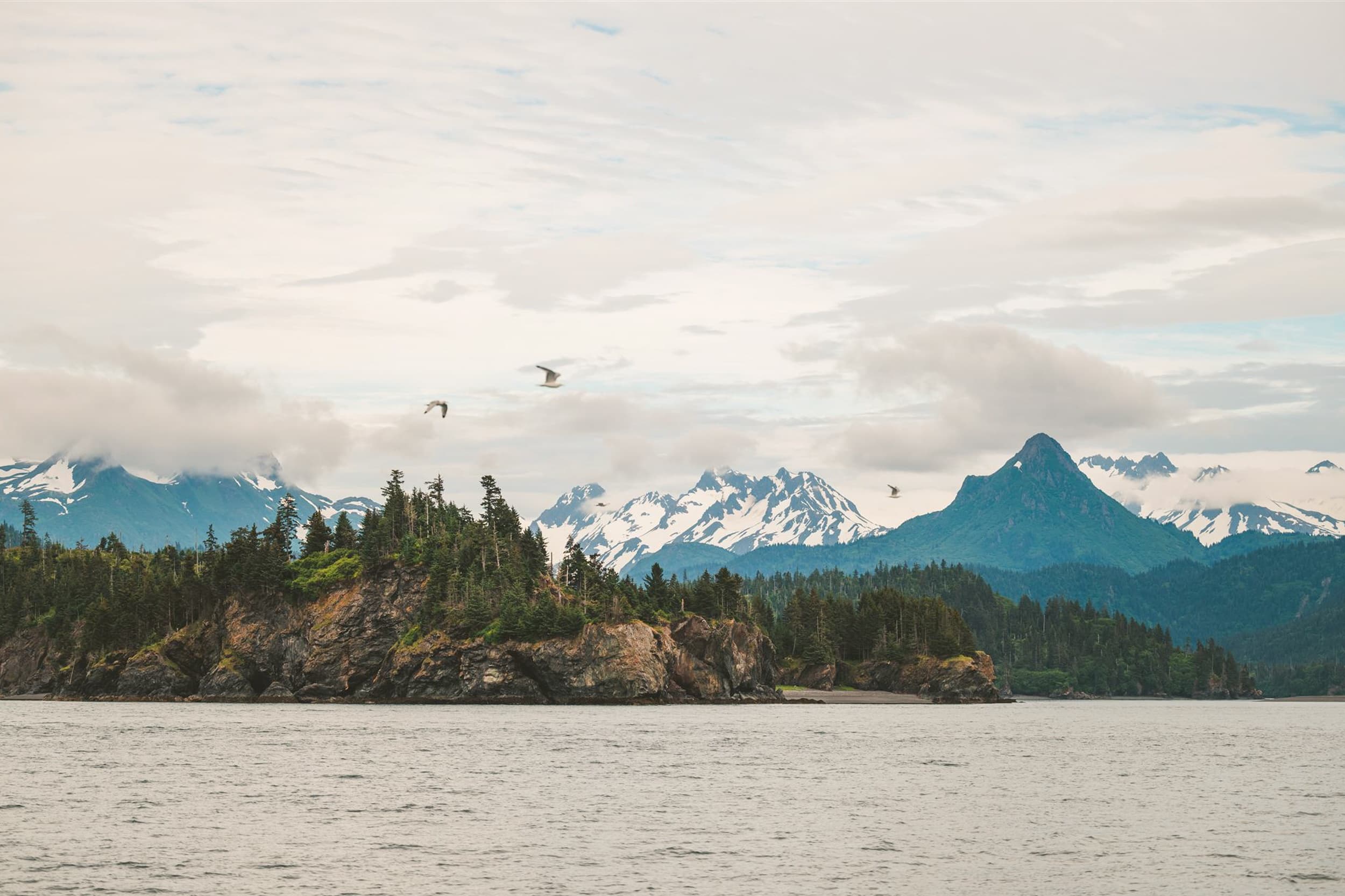 Sky to Spit: Homer Coastal Explorer Flightseeing and E-Bike Day Trip photo 3