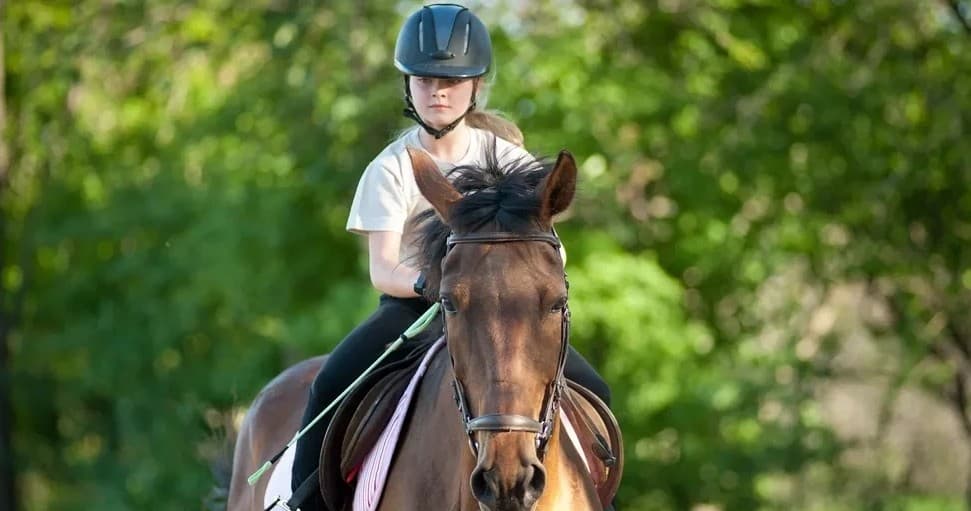 Malibu Creek Riding Academy fleet