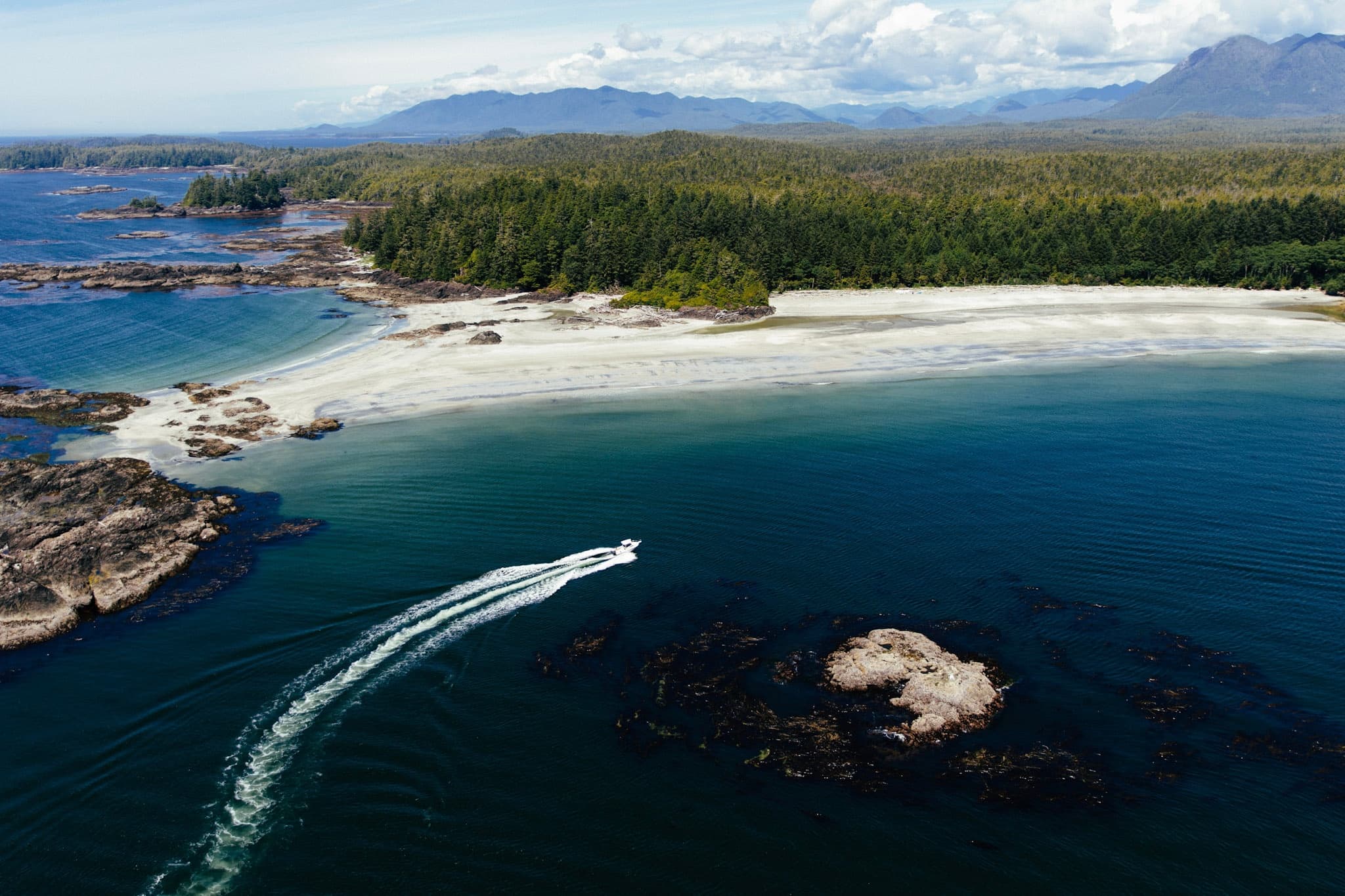 The Ultimate Tofino Adventure with Tofino Resort and Marina
