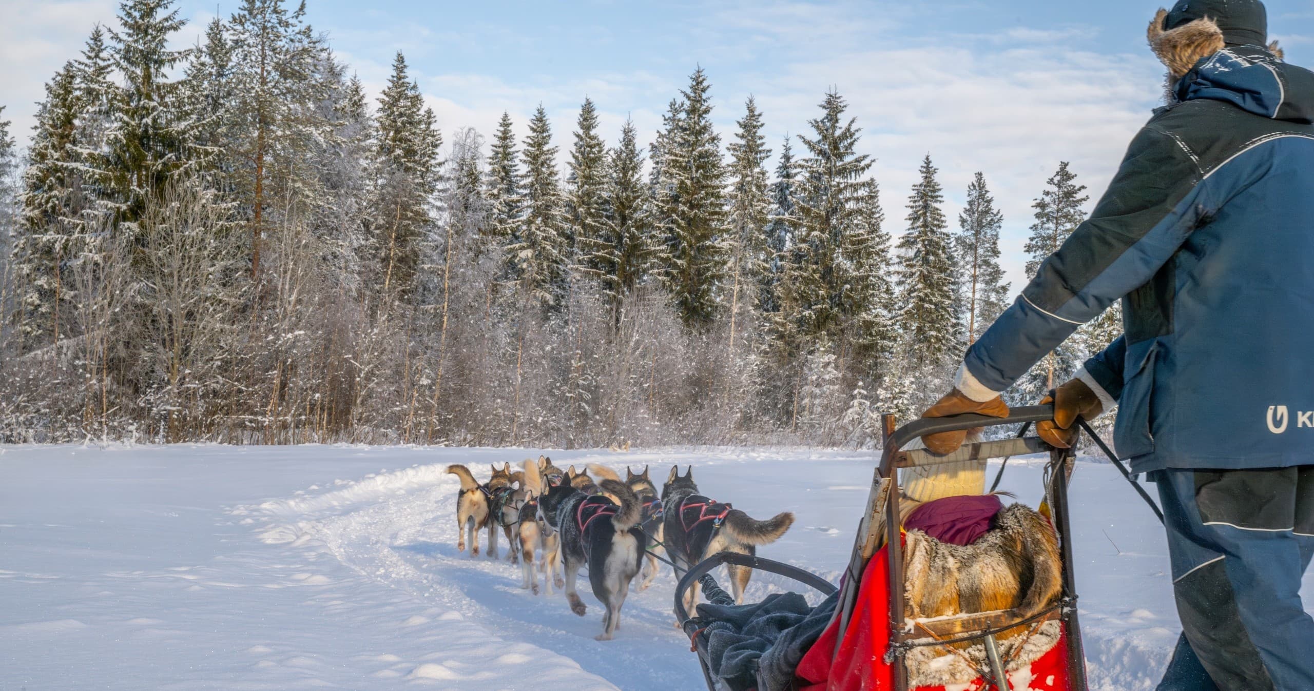 Drive a Husky Team on a Fell-Top Safari in Hyrynsalmi, Finland photo 2