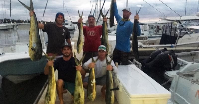 Fathom Charters fleet