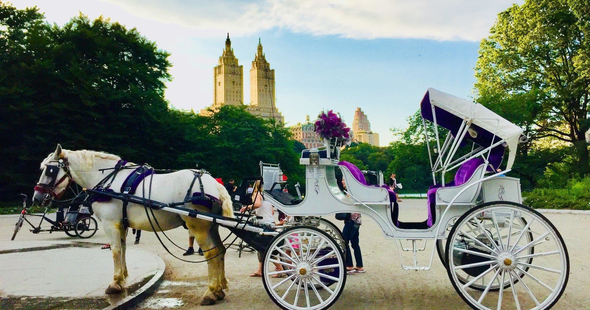 Experience Historic Charm on New York City Horse-Drawn Carriage Rides