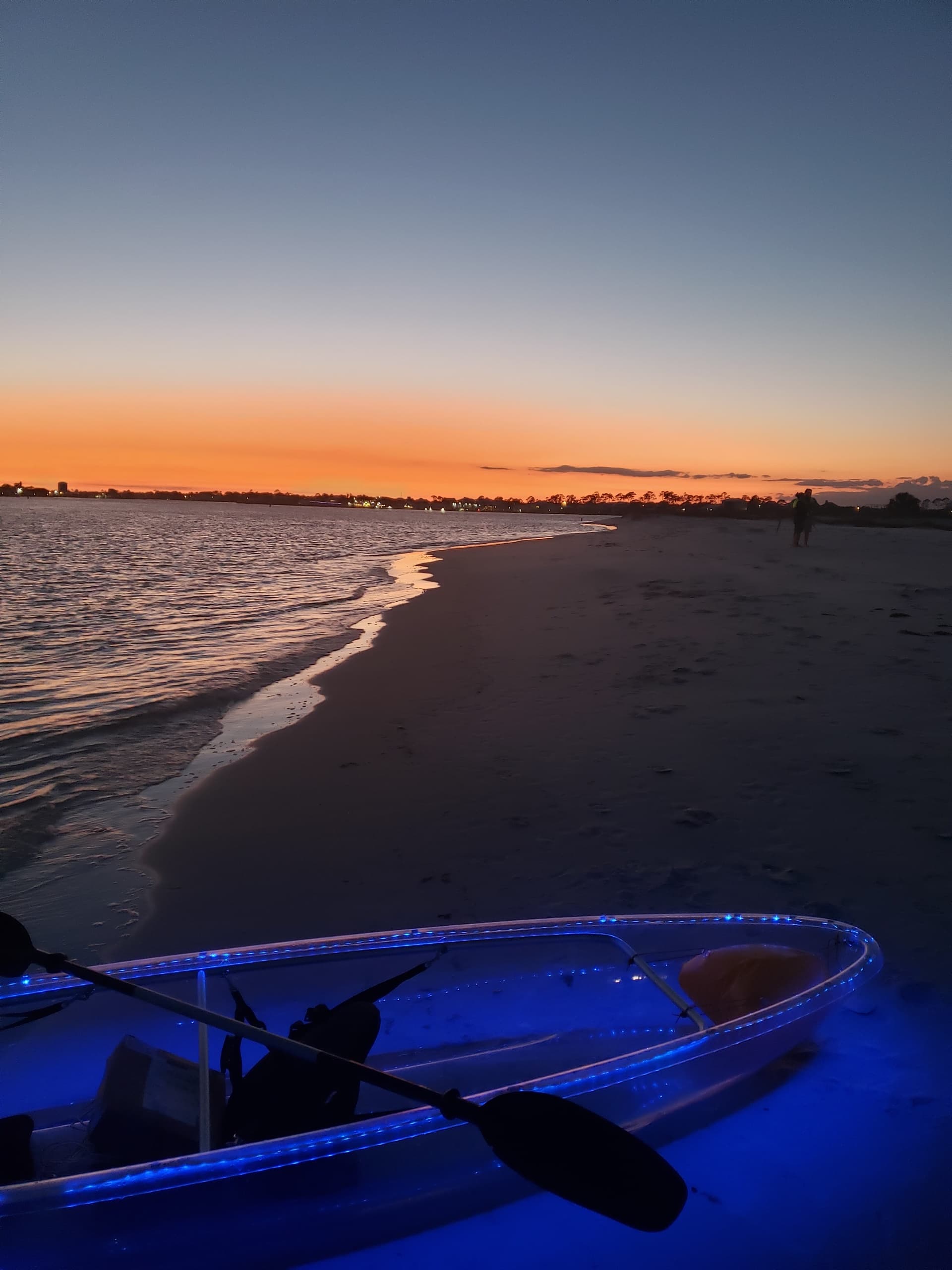 Sea View Tours fleet