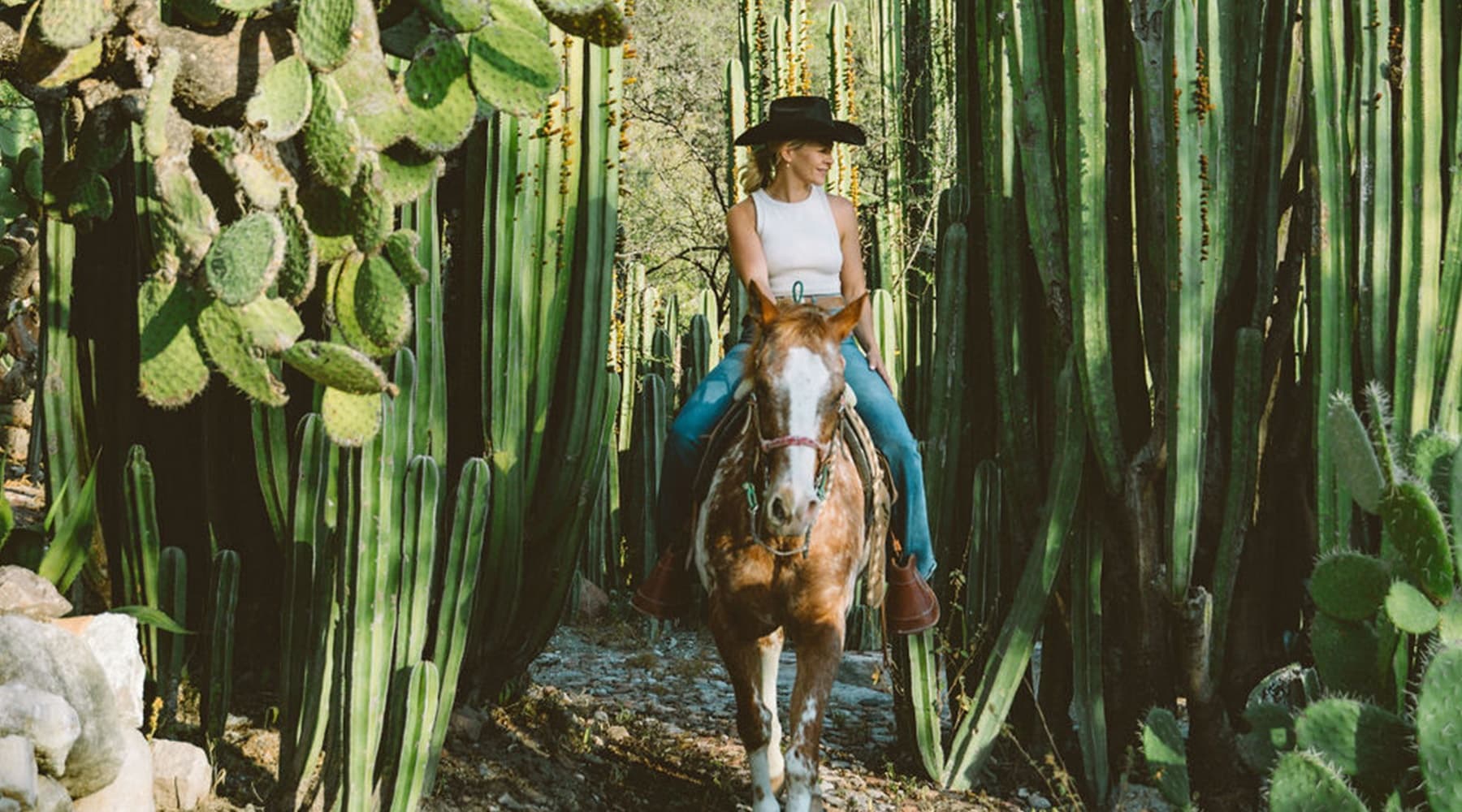 Saddle Through Guanajuato: Group Afternoon Trail Ride in Marroquín de Abajo photo 1