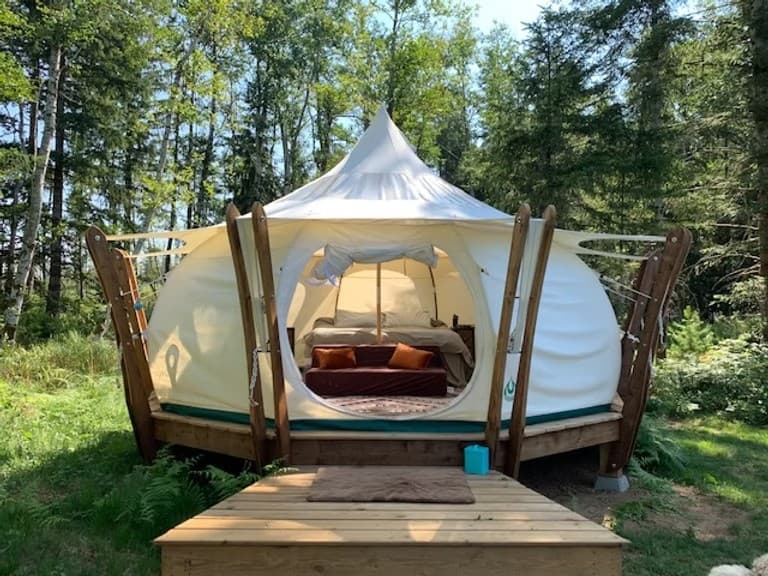 Vancouver Island 6-Day Adventure: Whales, Giant Trees & Rainforest Lodges photo 4