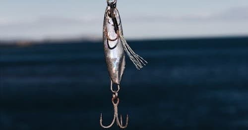 Water Activities & Fishing at 10,000 Islands National Wildlife Refuge