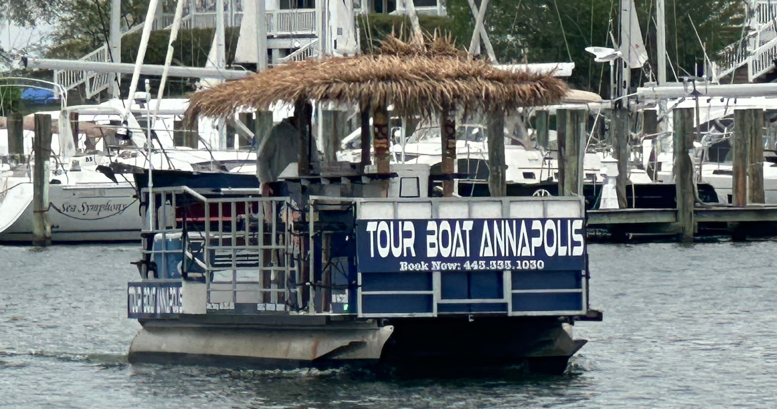 Tour Boat Annapolis fleet