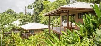 Jungle eco-lodge bungalows surrounded by tropical rainforest retreat