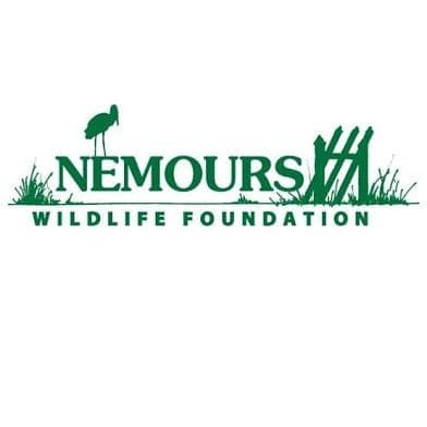 Birding Adventure at Nemours Wildlife Foundation in Beaufort