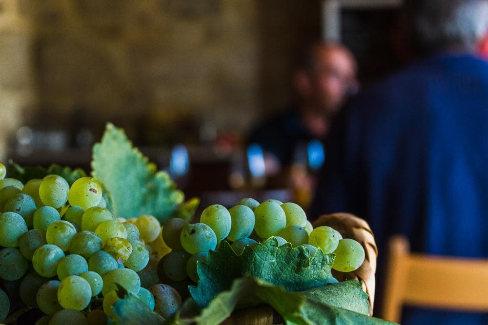Close-up green grape cluster in vineyard tasting room interior