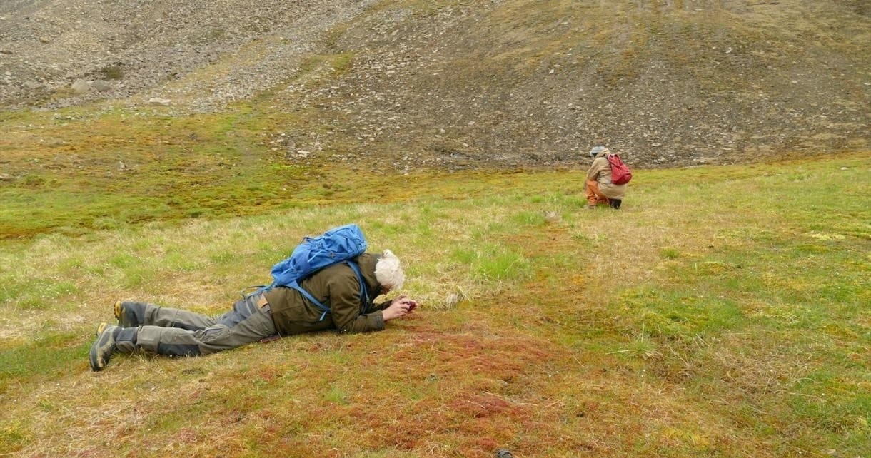 Wildlife & Easy Hike Adventure in Longyearbyen, Svalbard