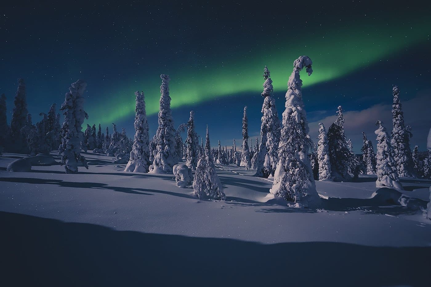 Riisitunturi Winter Hike from Rovaniemi: 8-Hour Lappish Forest Adventure