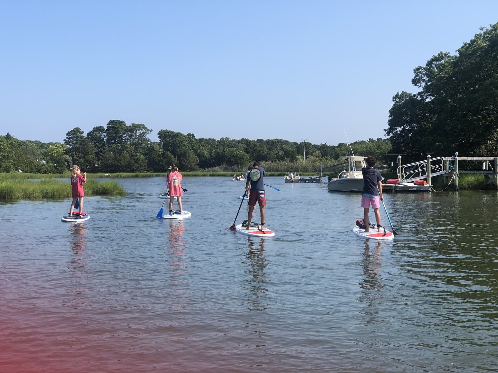 Paddle the Quiet: Guided SUP Tours Through Cape Cod's Salt Marshes photo 1