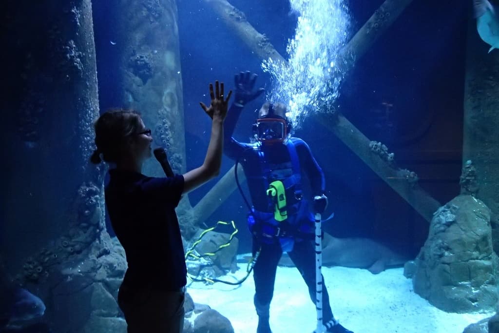 Scuba diver interacting with trainers inside large tank