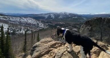 Angel Rocks Hike with Tundra Trekkers in Fairbanks, Alaska