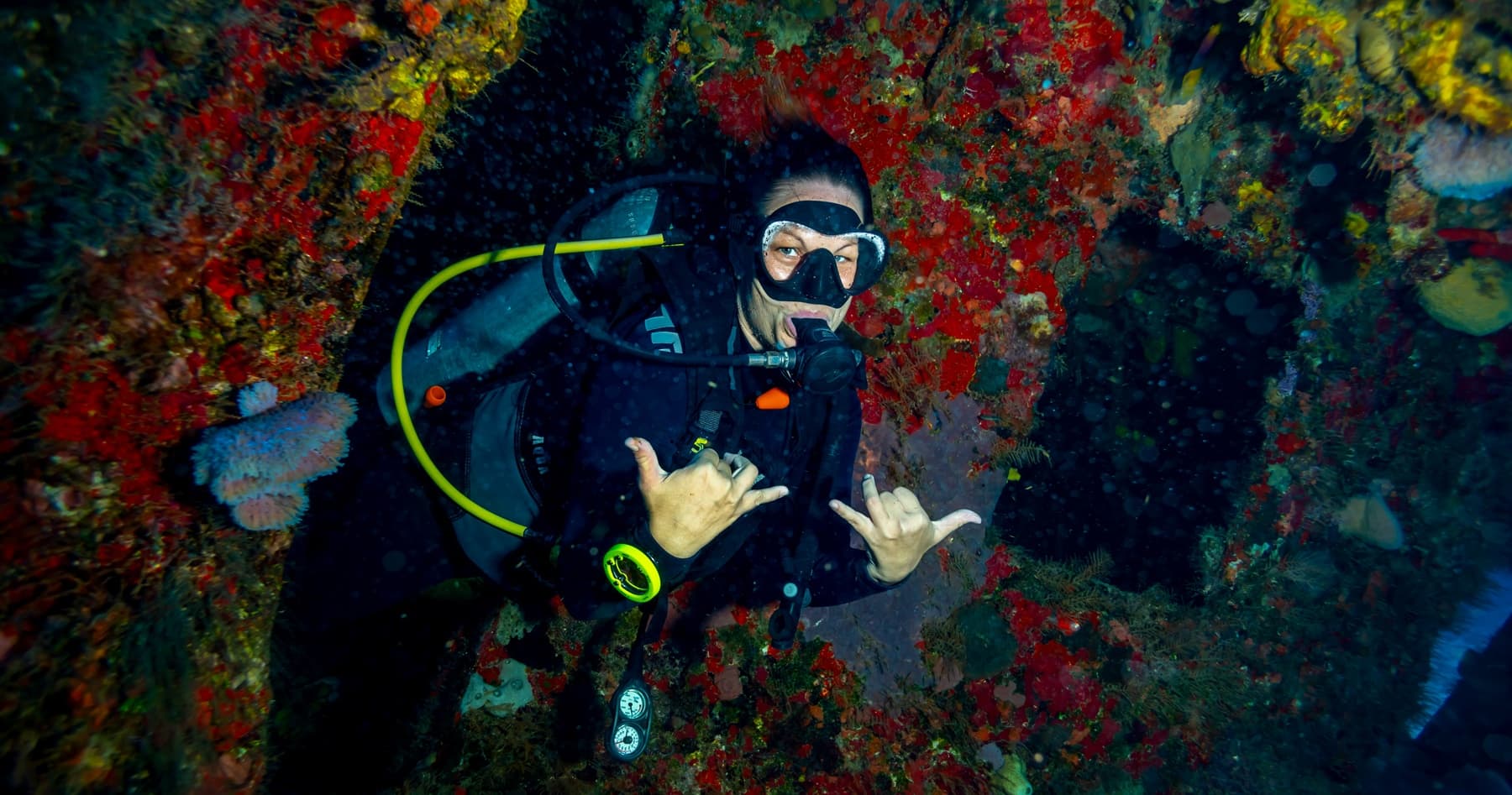 Advanced Open Water Diver Course in Playa del Carmen - 5 Dives, Wrecks & Sharks photo 3
