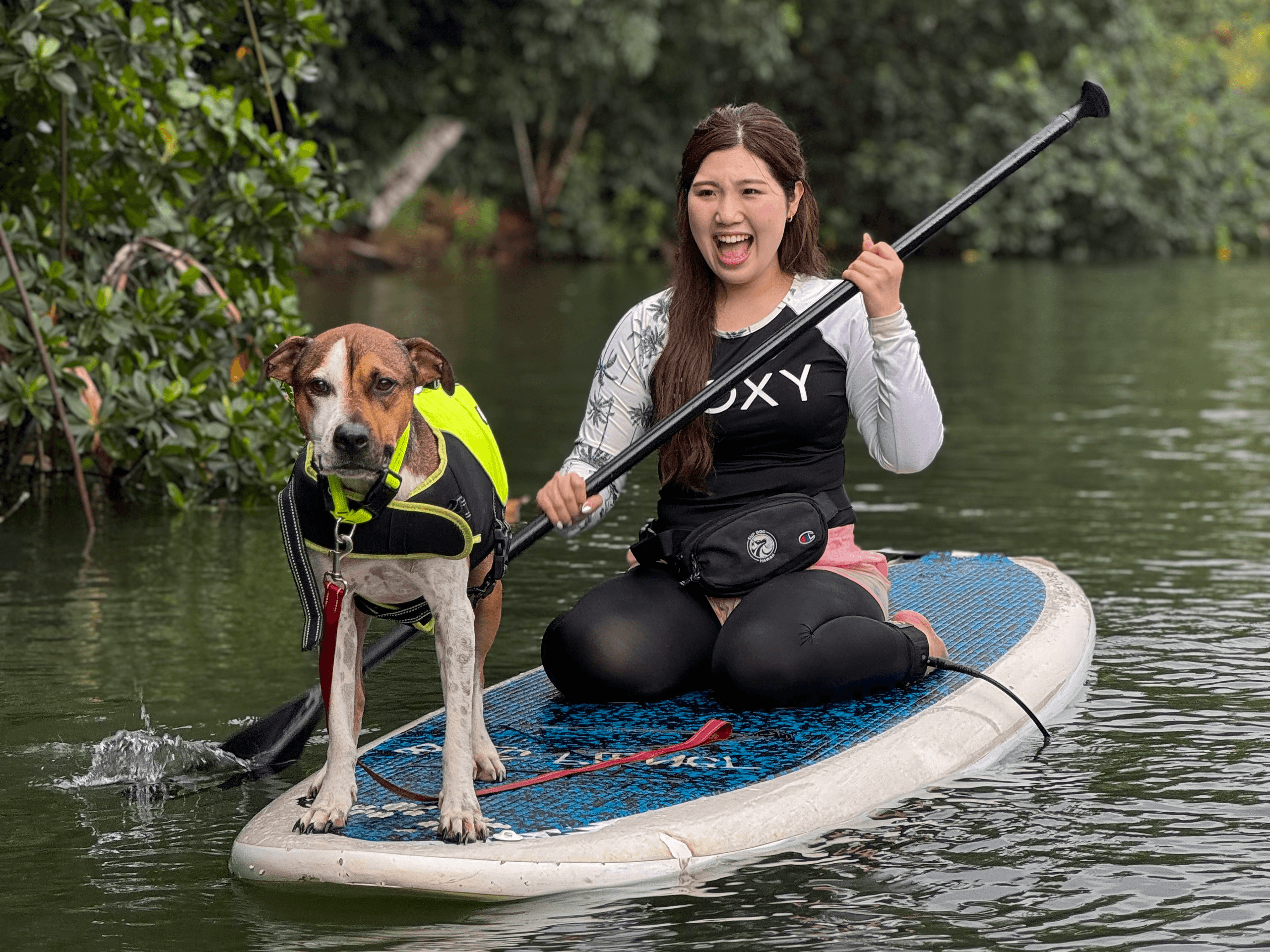 Smiling woman and dog seated on SUP in tropical mangrove water
