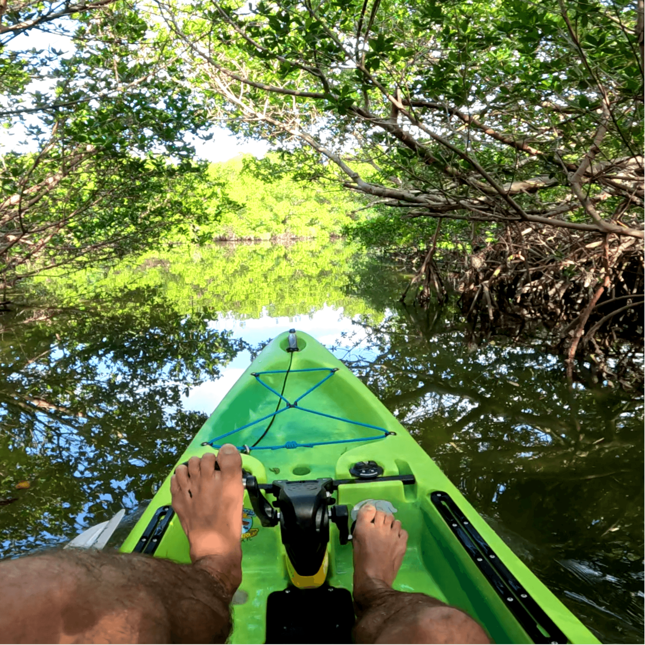 Pedal Kayak Tour at Neal Preserve by Liquid Blue Outfitters in Bradenton