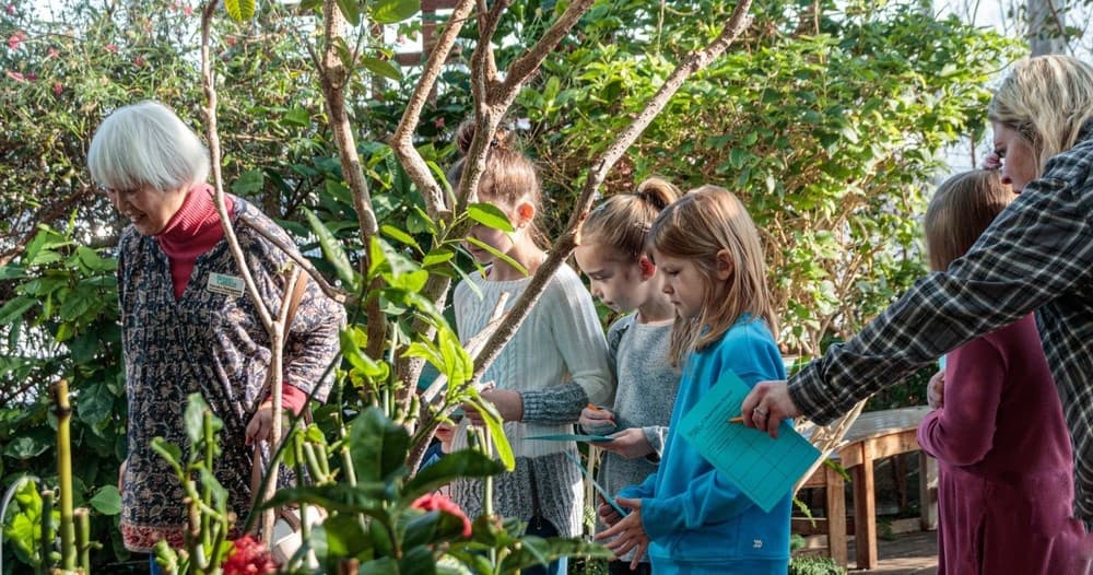 Land Adventure & Education at Reiman Gardens