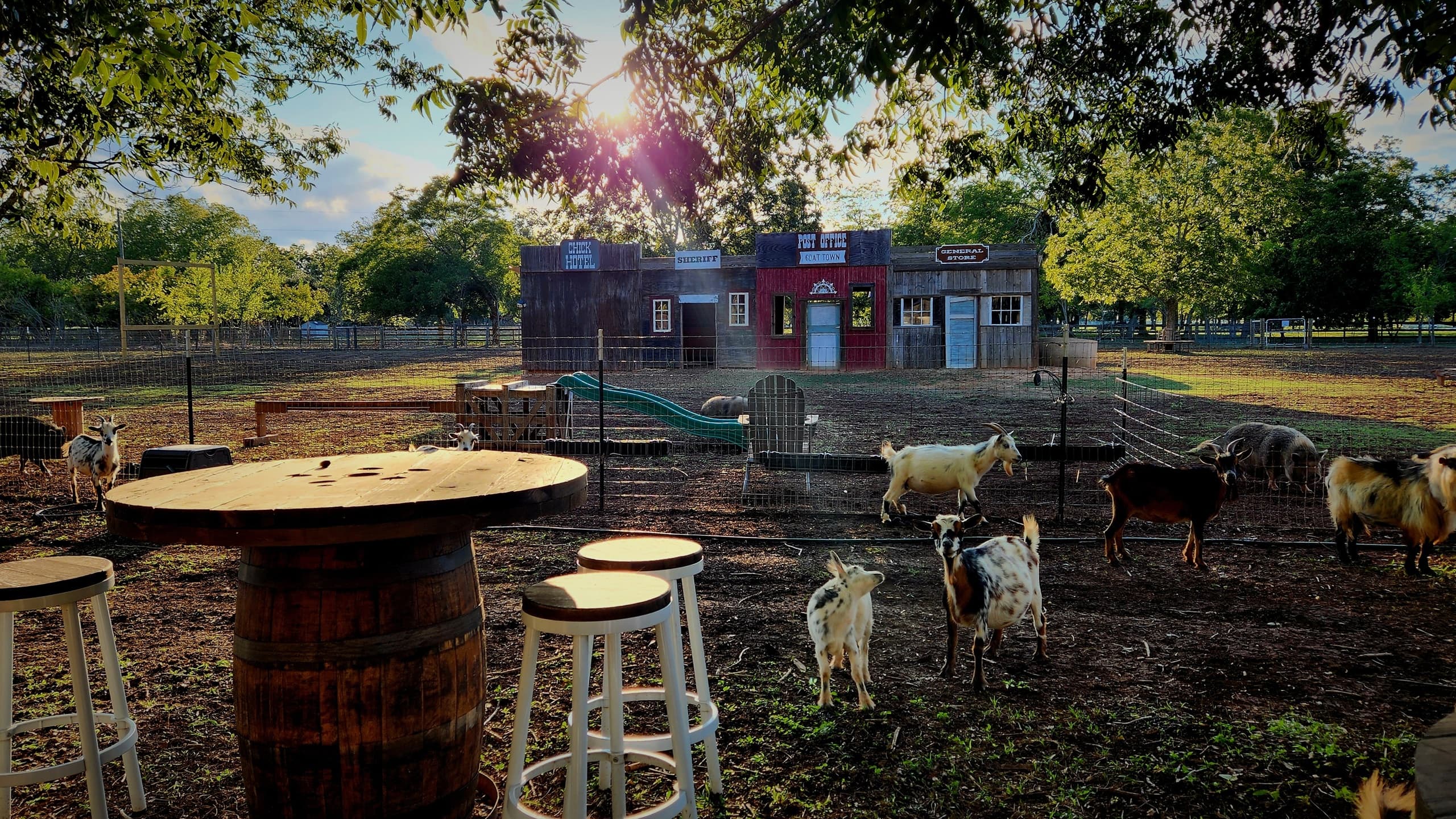 CTA Section Background Image