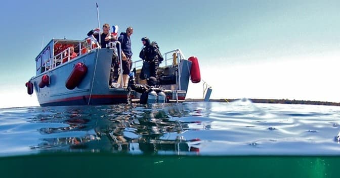 Shipwreck Diving Charters with Freedom Scuba USA
