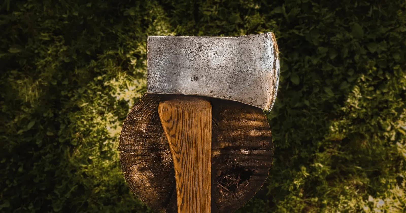 Axe embedded in stump on mossy forest floor, outdoor wood chopping