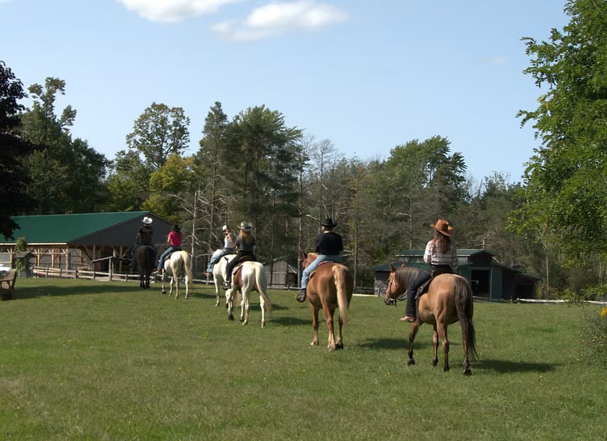 Private Group Trail Ride in Interlaken NY: Beginner-Friendly Horseback Riding in the Finger Lakes