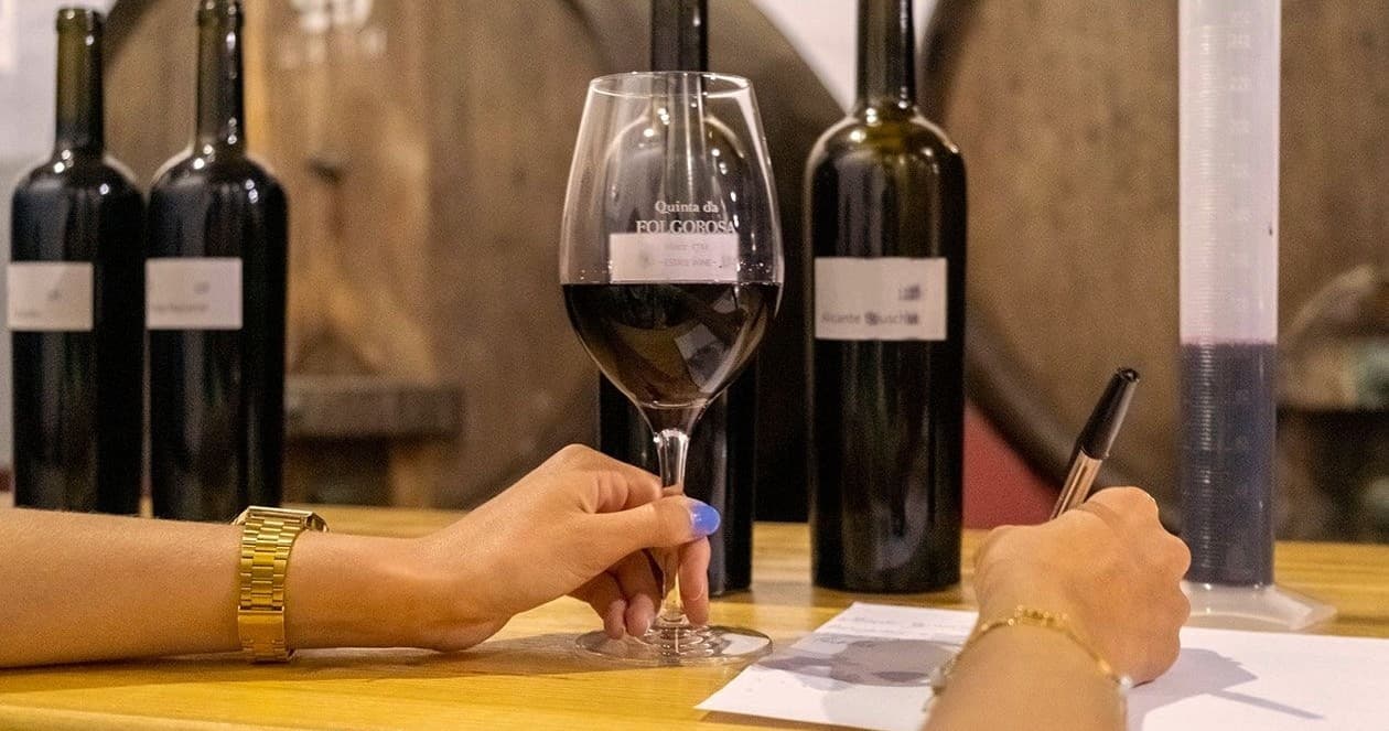 Winemaker for a Day at Farm Experiences & Tours, Portugal