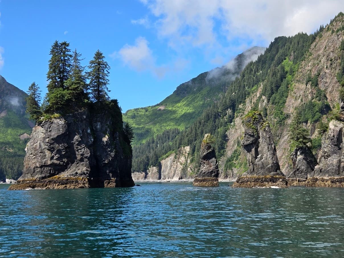 Private Resurrection Bay Half-Day: Whale Watching, Fjords & Puffins
