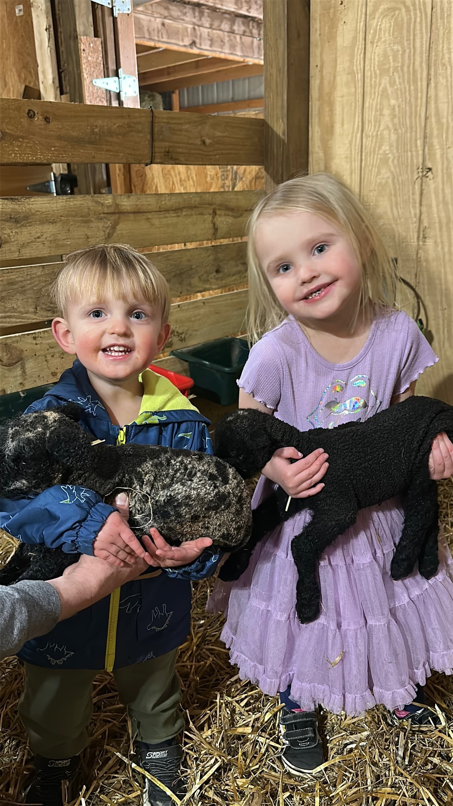 Private Pasture Picnic at Pure Passions Farm: Farm Animal Encounters Near Kent, OH photo 3