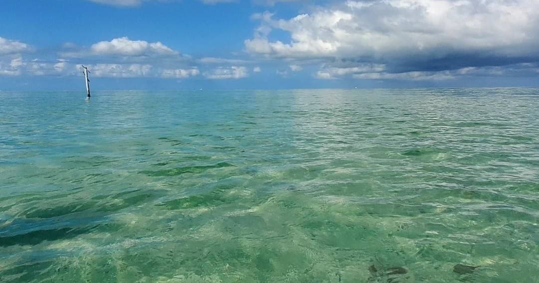 Scenic shallow Gulf waters near Naples, ideal for boating