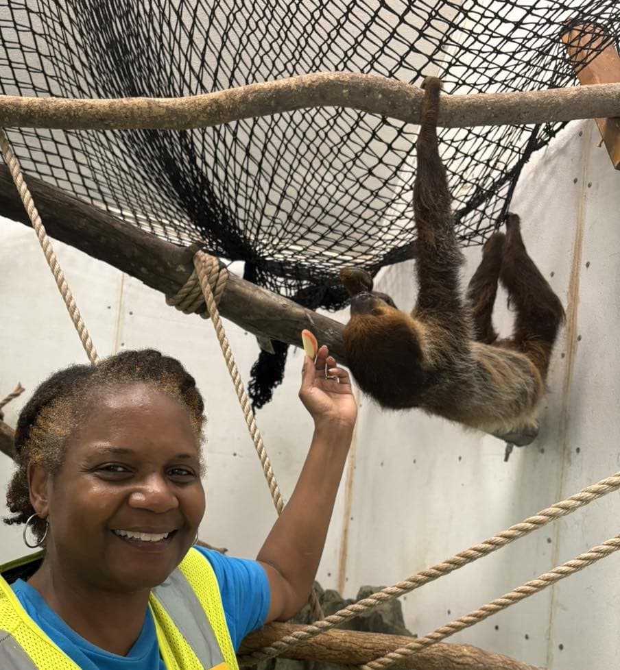 Sloth Encounter Experience in Lilburn, Georgia