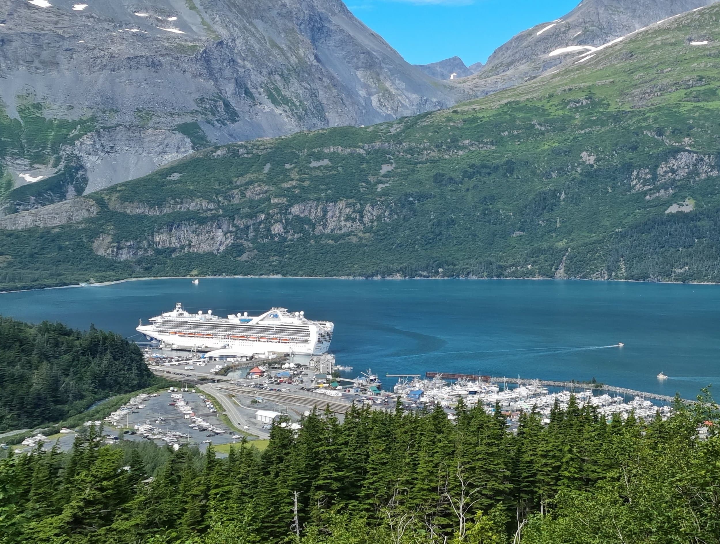 Cruise ship docked in alpine fjord with forested mountains