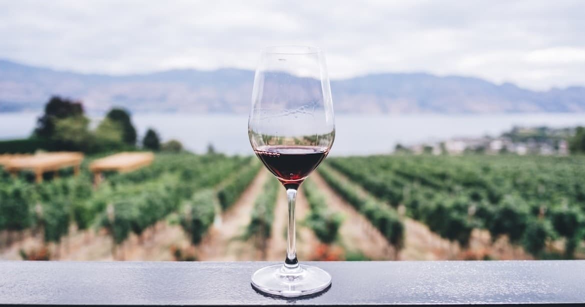 Explore Baja California: 4-Day Family Adventure from Tijuana to Valle de Guadalupe