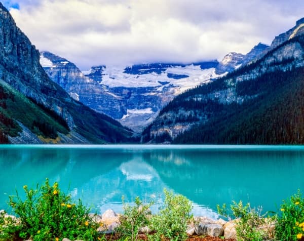 Lake Louise Small-Group Tour with Into the Wild Tours